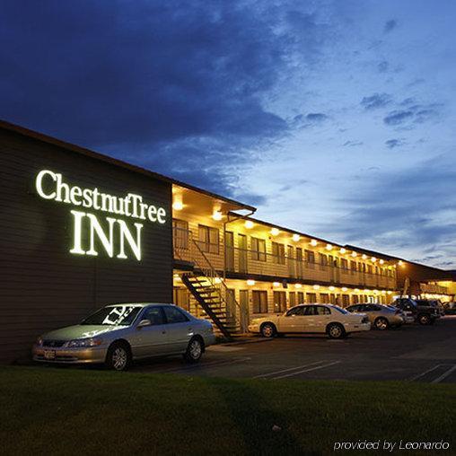 Chestnut Tree Inn Portland Mall 205 Exteriör bild